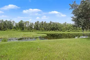 9837 Jasmine Brook Cir, Land O Lakes, FL 34638 - Photo 40