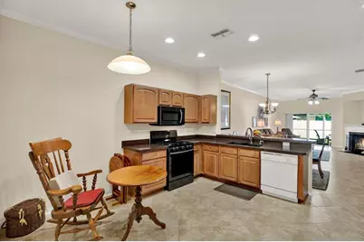 19343 Haskell Place, Land O Lakes, FL 34638 - Photo 10