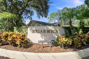 3126 Edgemoor Dr, Palm Harbor, FL 34685 - Photo 42