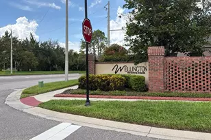 11838 Branch Mooring Dr, Tampa, FL 33635 - Photo 58