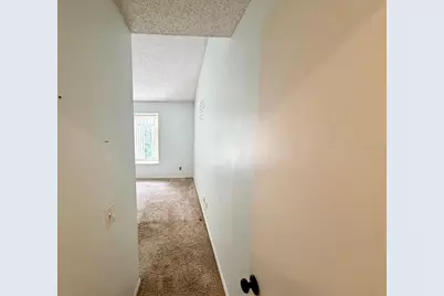 11838 Branch Mooring Drive, Tampa, FL 33635 - Photo 26