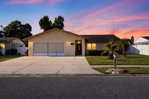 3104 Dole St, Holiday, FL 34691 - Photo 1