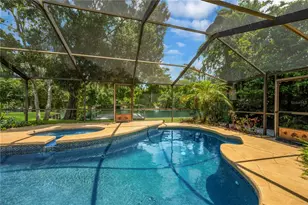 80 Foxfire Ln, Oldsmar, FL 34677 - Photo 46