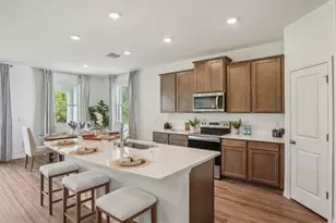 32736 Weathered Oak Dr, Wesley Chapel, FL 33543 - Photo 8