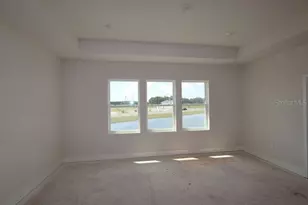 2835 Soleta Vw, Odessa, FL 33556 - Photo 12