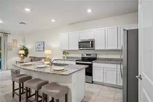 17238 Amber Aspen Wy, Land O Lakes, FL 34638 - Photo 10