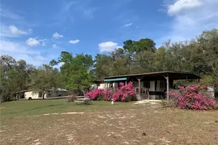 24605 and 24645 NE 177th Terrace, Fort Mc Coy, FL 32134 - Photo 10