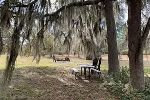 24605 and 24645 NE 177th Terrace, Fort Mc Coy, FL 32134 - Photo 62