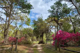 24605 and 24645 NE 177th Terrace, Fort Mc Coy, FL 32134 - Photo 64