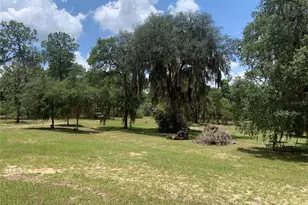 24605 and 24645 NE 177th Terrace, Fort Mc Coy, FL 32134 - Photo 60