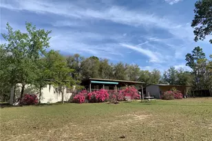 24605 and 24645 NE 177th Terrace, Fort Mc Coy, FL 32134 - Photo 8