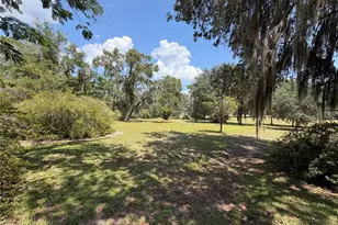 24605 and 24645 NE 177th Terrace, Fort Mc Coy, FL 32134 - Photo 1