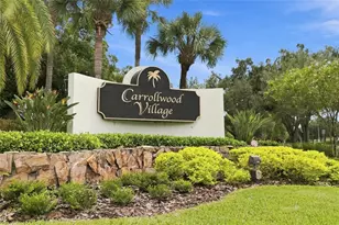 5033 Cypress Trace Dr, Tampa, FL 33624 - Photo 4