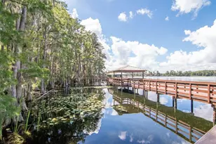 21228 Marsh Hawk Dr, Land O Lakes, FL 34638 - Photo 68