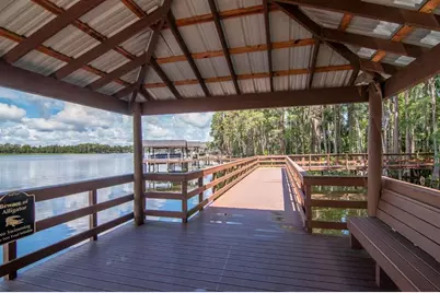 21228 Marsh Hawk Drive, Land O Lakes, FL 34638 - Photo 70