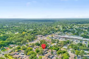 903 Buck Ct, Brandon, FL 33511 - Photo 38