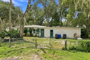 11301 Sylvan Green Ln, Riverview, FL 33569 - Photo 2