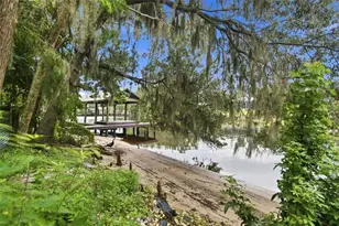 11301 Sylvan Green Ln, Riverview, FL 33569 - Photo 4
