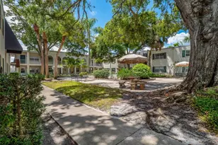 4335 Aegean Dr, Tampa, FL 33611 - Photo 30