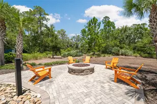 4070 Epic Cove, Land O Lakes, FL 34638 - Photo 80