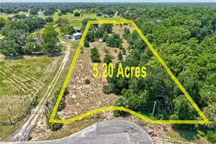 36931 Leslye Ln, Eustis, FL 32736 - Photo 2