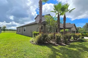 10619 Mistflower Ln, Tampa, FL 33647 - Photo 34