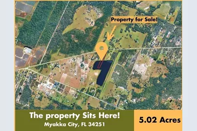 4952 Wauchula Road, Myakka City, FL 34251 - Photo 10