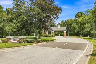 21201 Sky Vista Dr, Land O Lakes, FL 34637 - Photo 4