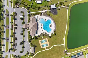 11406 Green Harvest Dr., Riverview, FL 33578 - Photo 46