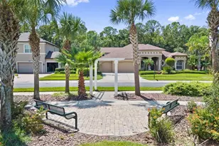 27816 Cobalt Ln, Wesley Chapel, FL 33544 - Photo 76