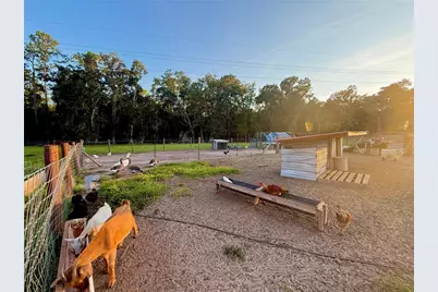 25406 Ladyhawk Lane, Brooksville, FL 34601 - Photo 74