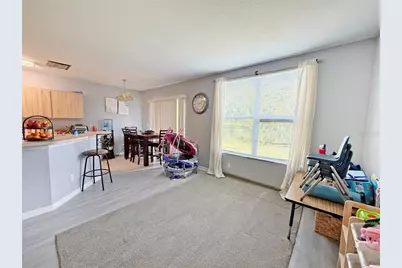 6225 Olivedale Drive, Riverview, FL 33578 - Photo 4
