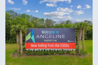 11166 Wishing Cloud Road, Land O Lakes, FL 34638 - Photo 86