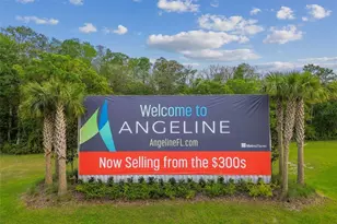 11166 Wishing Cloud Rd, Land O Lakes, FL 34638 - Photo 86