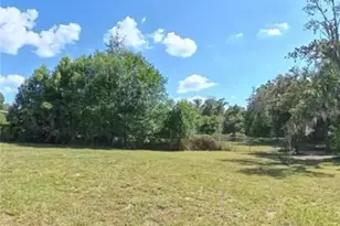 12215 Orchid Ln, Thonotosassa, FL 33592 - Photo 30