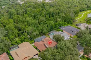 16012 Ternglade Dr, Lithia, FL 33547 - Photo 68