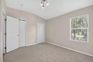 15768 Fishhawk Falls Dr, Lithia, FL 33547 - Photo 20