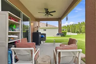 17919 Ayrshire Blvd, Land O Lakes, FL 34638 - Photo 56