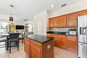 15731 Cedar Elm Terrace, Land O Lakes, FL 34638 - Photo 8
