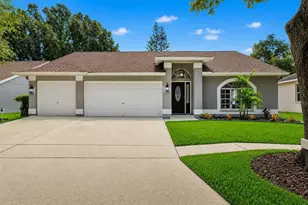 17721 Hampshire Oak Dr, Tampa, FL 33647 - Photo 1