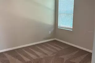 7553 Peace Lily Ave, Wesley Chapel, FL 33545 - Photo 16