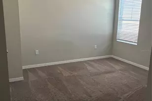 7553 Peace Lily Ave, Wesley Chapel, FL 33545 - Photo 14
