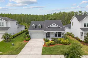 15170 Aviles Pkwy, Odessa, FL 33556 - Photo 34