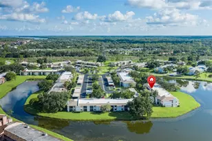 160 Lakeview Way, Oldsmar, FL 34677 - Photo 28
