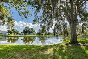 160 Lakeview Way, Oldsmar, FL 34677 - Photo 26