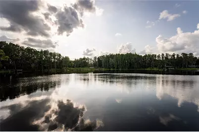 21864 Pineywood Loop, Land O Lakes, FL 34639 - Photo 28