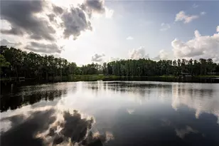 21864 Pineywood Loop, Land O Lakes, FL 34639 - Photo 28