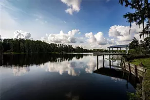21864 Pineywood Loop, Land O Lakes, FL 34639 - Photo 26