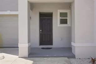 32898 Pez Landing Ln, Wesley Chapel, FL 33543 - Photo 2