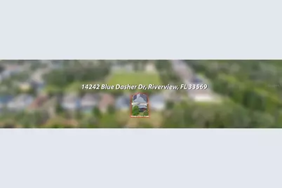 14242 Blue Dasher Drive, Riverview, FL 33569 - Photo 50
